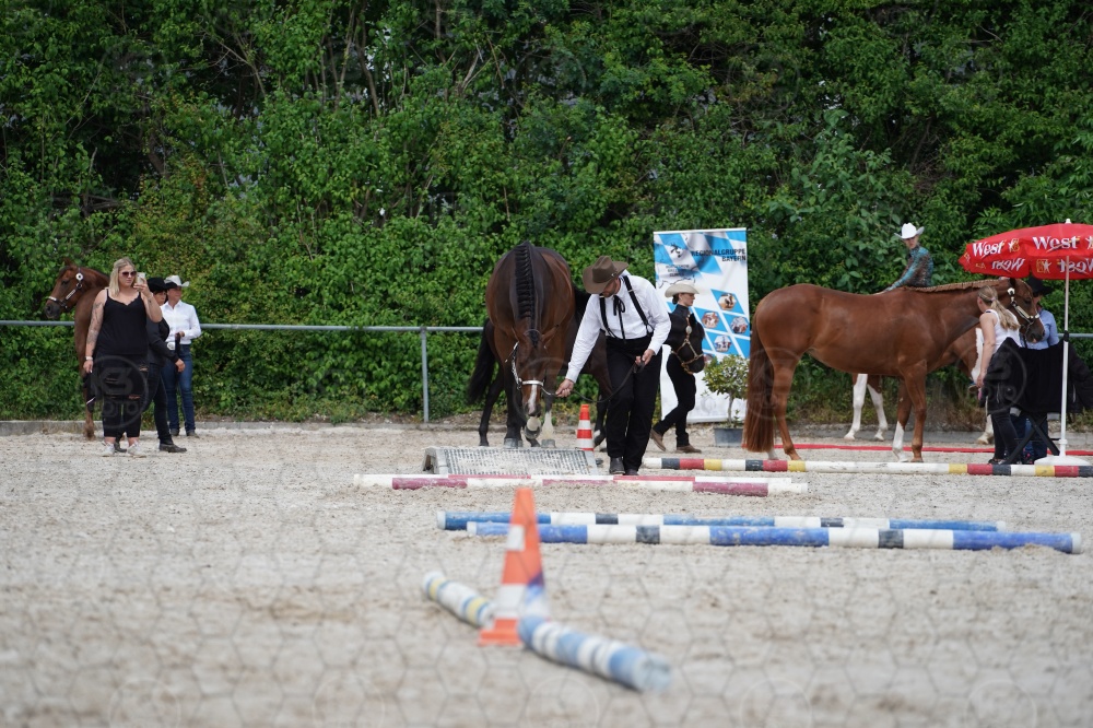s_A9_06350.jpg